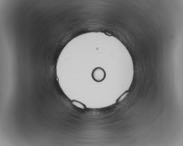 X0000111450276200908101040