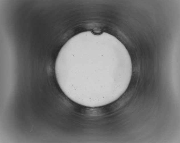 X0000111450277200908101040