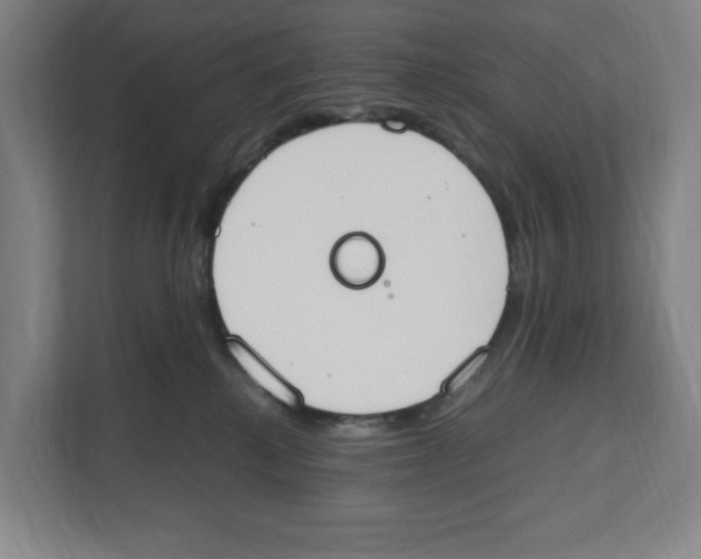 X0000111450280200908101040