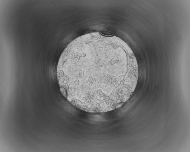 X0000111450285200908101041