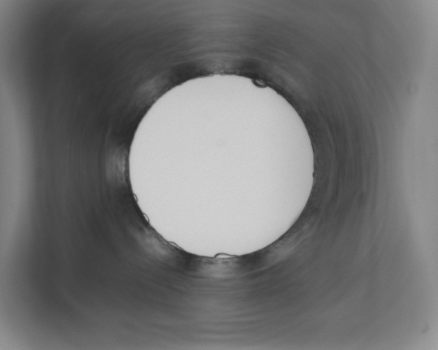 X0000111450288200908101041