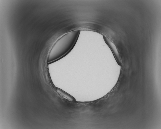 X0000111450289200908101040