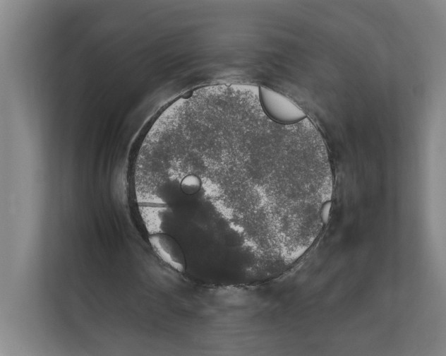 X0000111450290200908101040