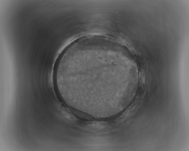 X0000111450292200908101040