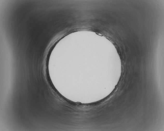 X0000111450293200908101040