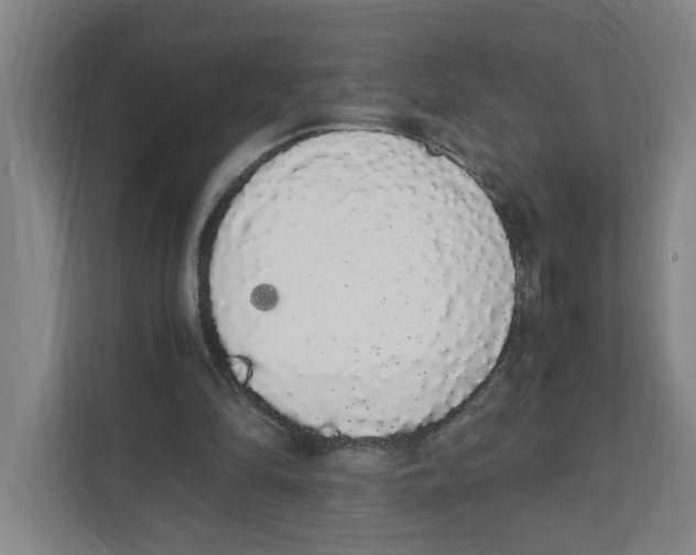 X0000111450294200908101040