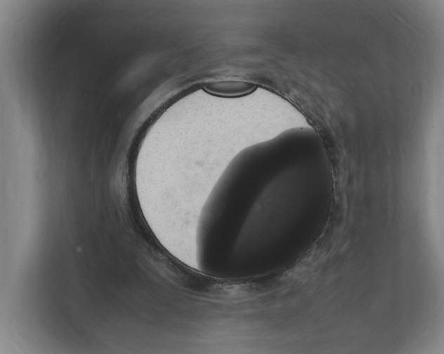 X0000111450295200908101040