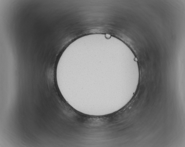 X0000111450297200908101040
