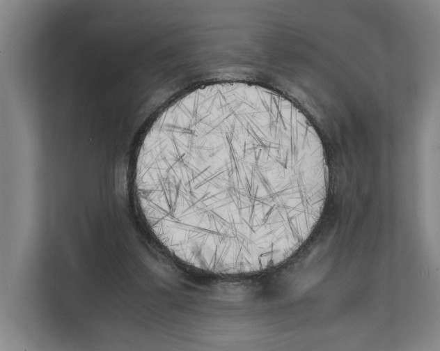 X0000111450299200908101040
