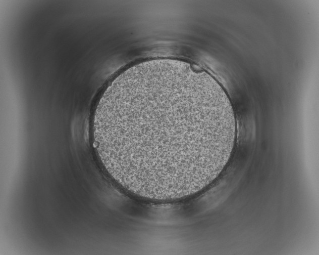 X0000111450301200908101040