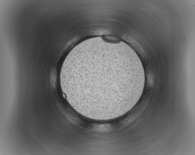 X0000111450304200908101040