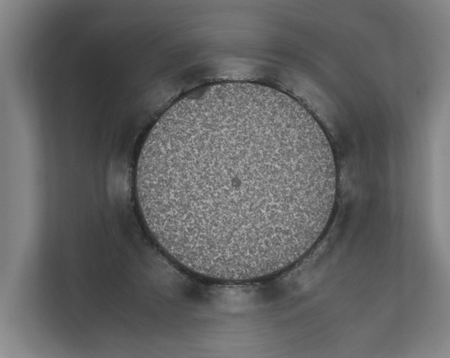 X0000111450305200908101040