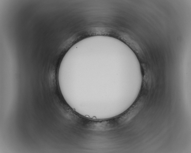 X0000111450306200908101040