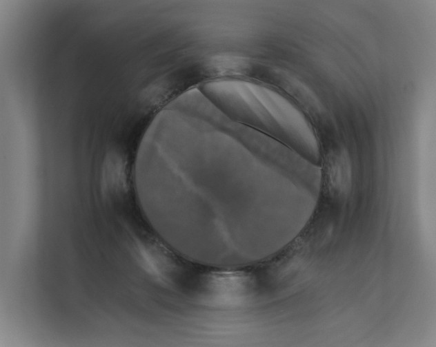 X0000111450316200908101040