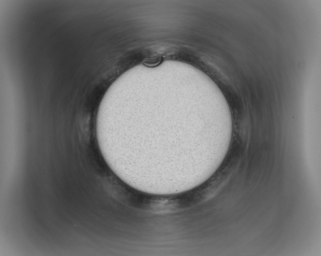 X0000111450319200908101040