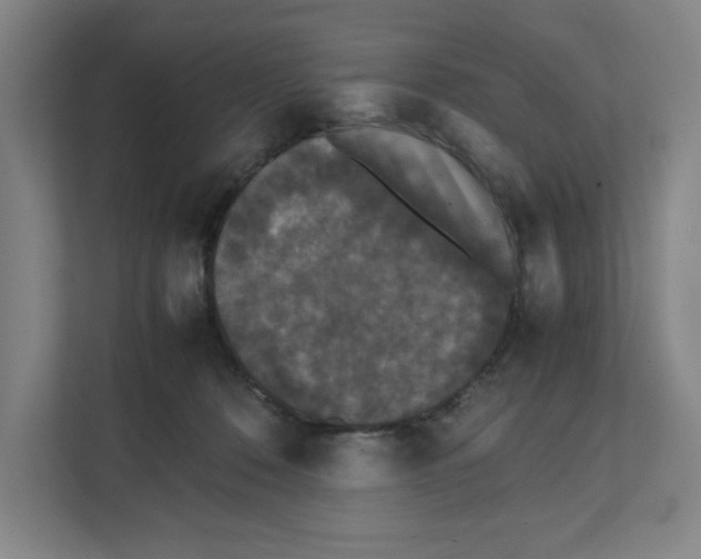 X0000111450320200908101040