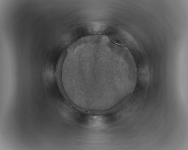 X0000111450324200908101039