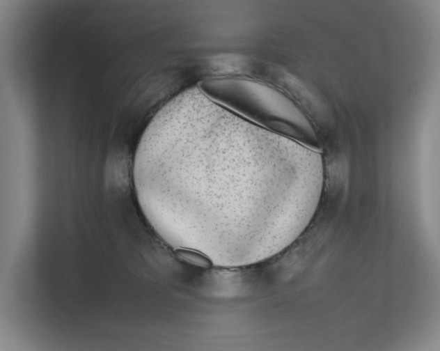 X0000111450325200908101039