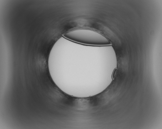 X0000111450327200908101039