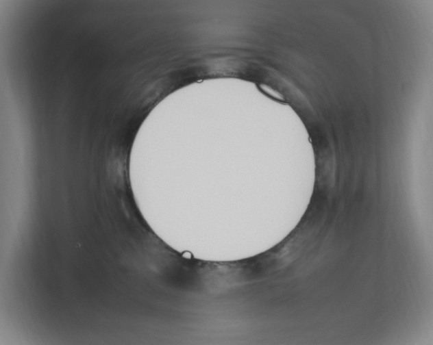 X0000111450329200908101039