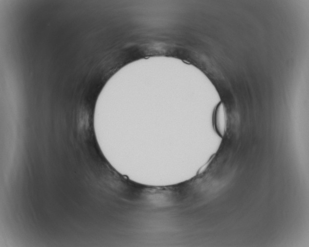 X0000111450331200908101039