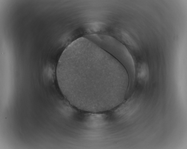 X0000111450332200908101039