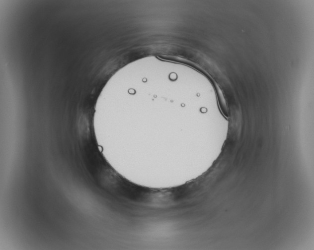X0000111450333200908101039