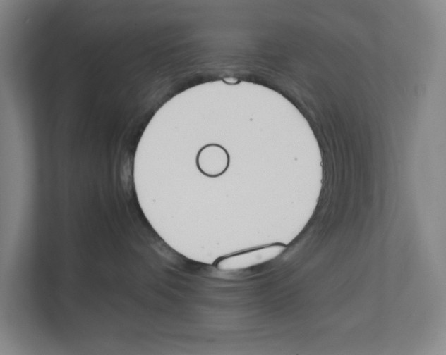 X0000111450336200908101039
