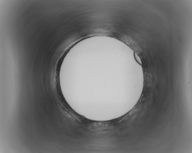 X0000111450338200908101039