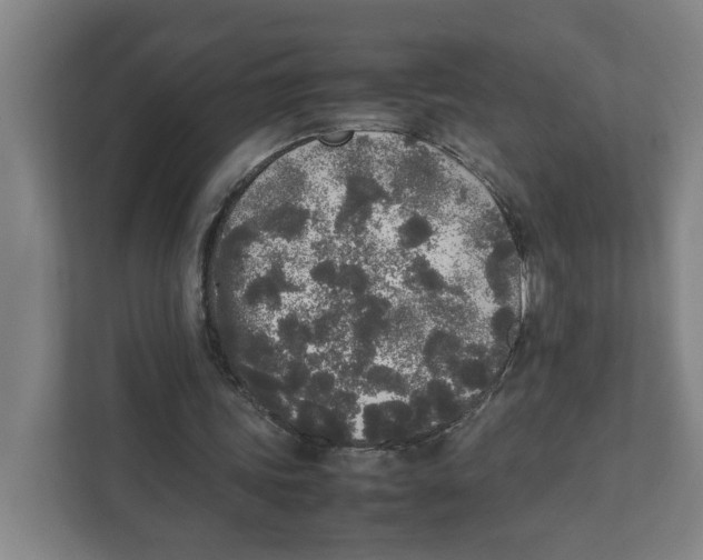 X0000111450339200908101039