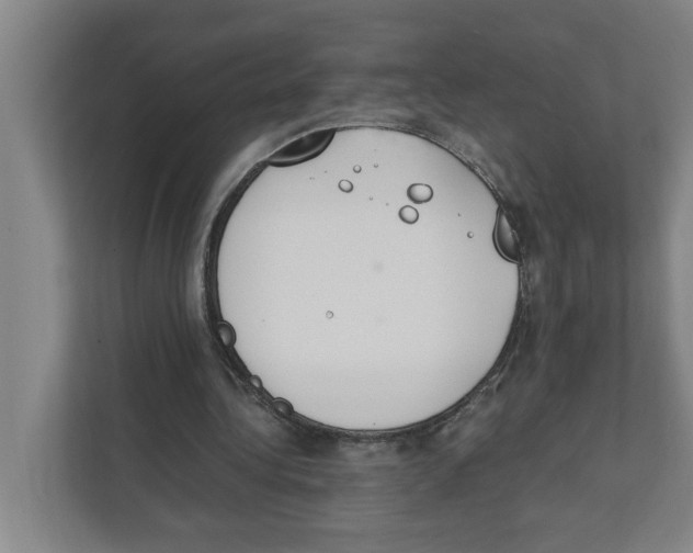 X0000111450340200908101039