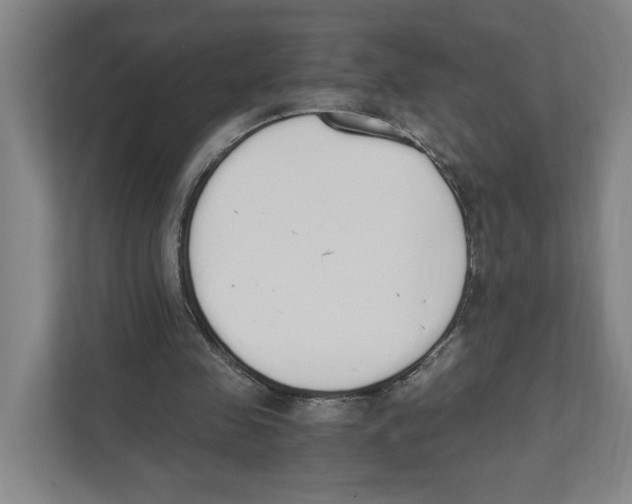 X0000111450341200908101039