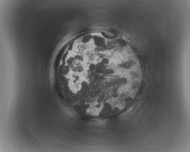 X0000111450343200908101039