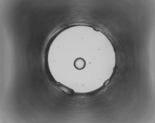 X0000111450344200908101039