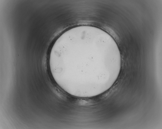 X0000111450346200908101039