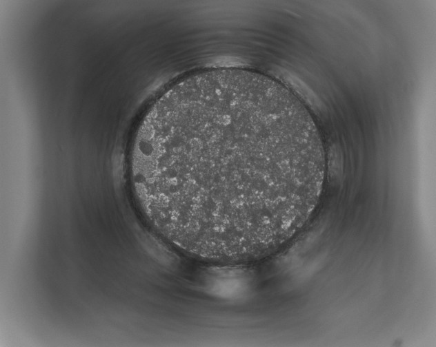 X0000111450351200908101039