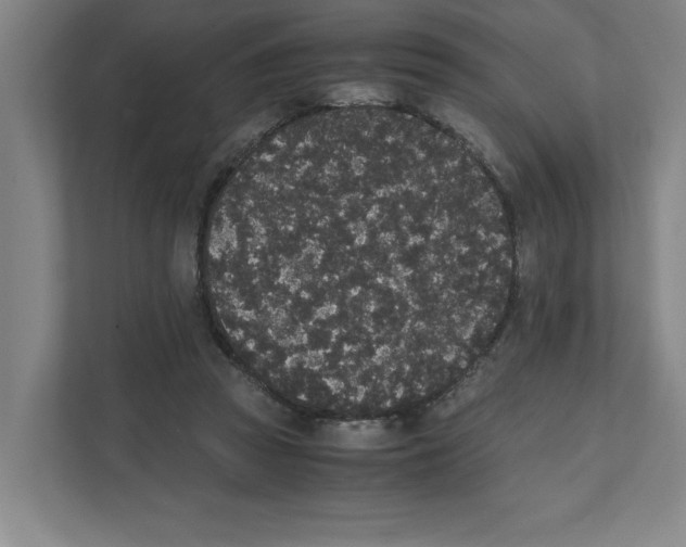 X0000111450353200908101039