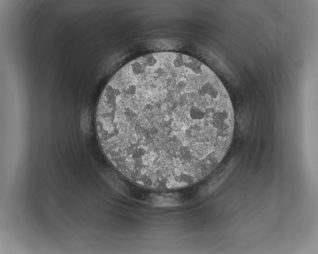 X0000111450359200908101039