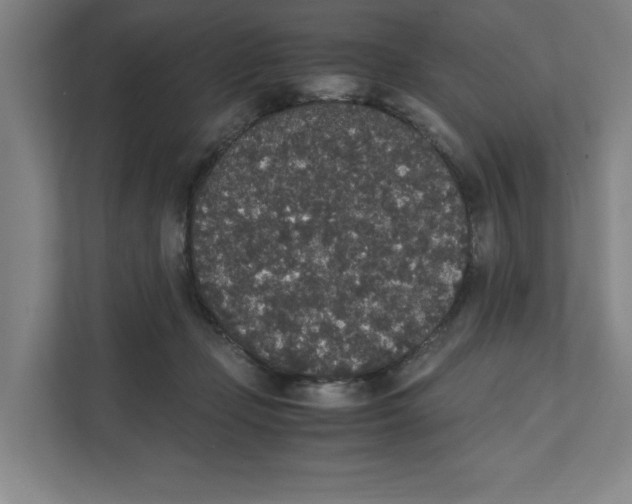 X0000111450365200908101039