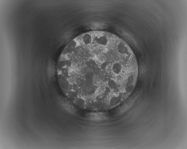 X0000111450367200908101039