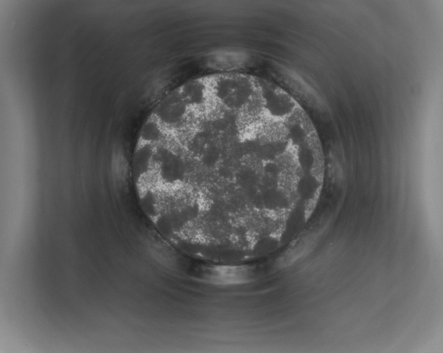 X0000111450371200908101039