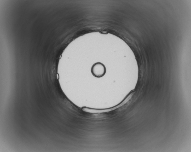 X0000111450376200908101039