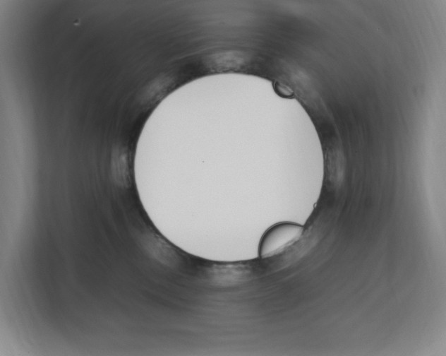 X0000111450378200908101039
