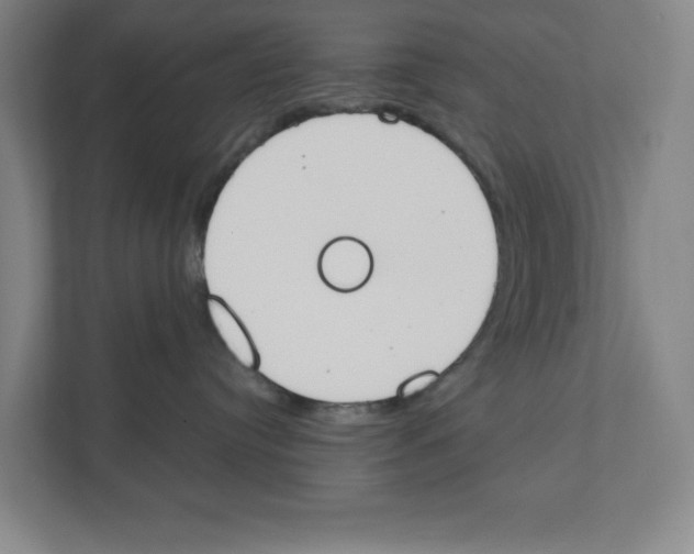 X0000111450384200908101039