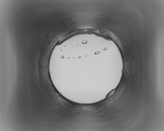 X0000111450385200908101039