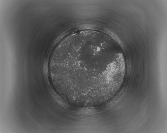 X0000111450386200908101039