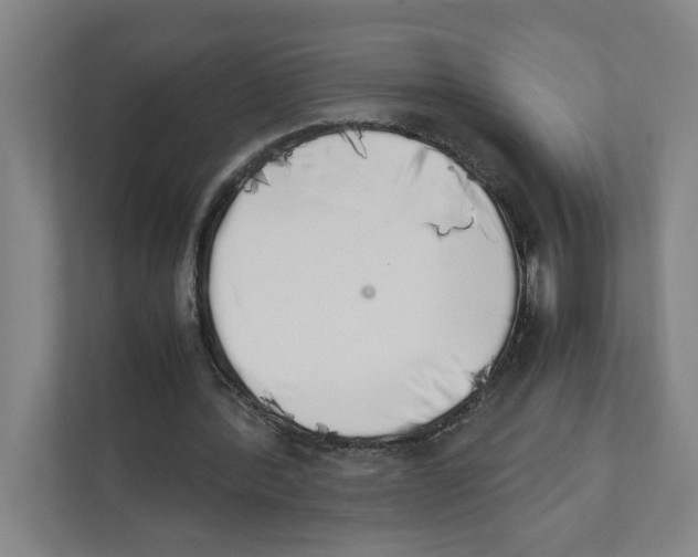 X0000111450388200908101039