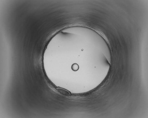 X0000111450389200908101039
