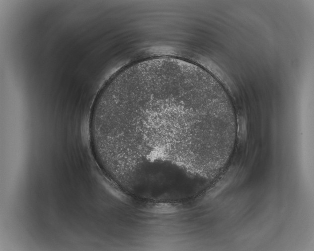 X0000111450390200908101039