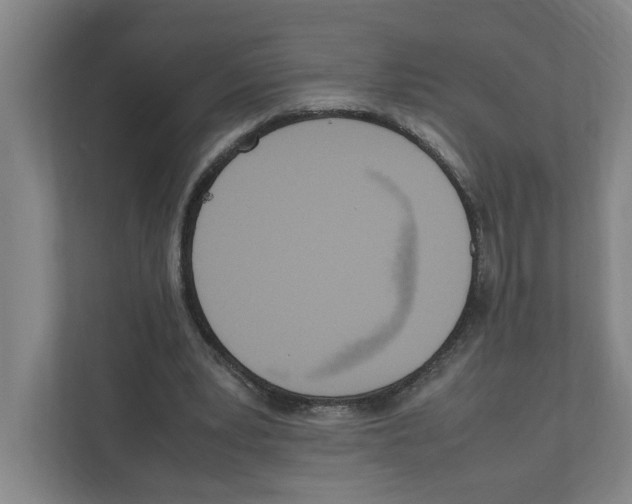 X0000111450391200908101039